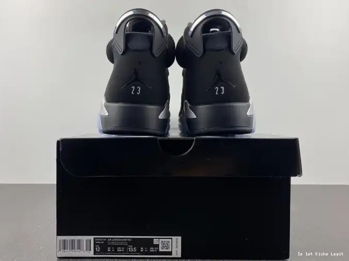 Air Jordan Silver 6 DX2836-001 Metallic 0527